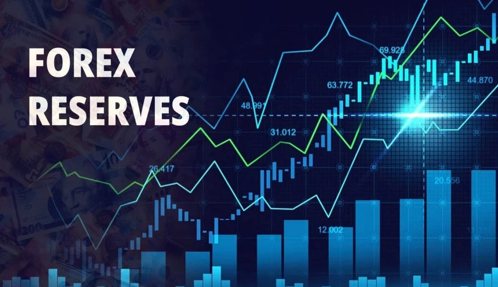 India's Forex Reserves Climb to $682.32 Billion